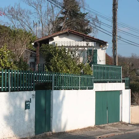 Villa Albi *